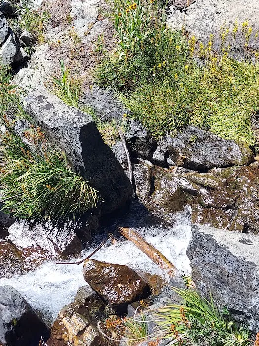 Lakes Basin Campground Picture 5