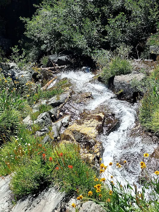Lakes Basin Campground Picture 9