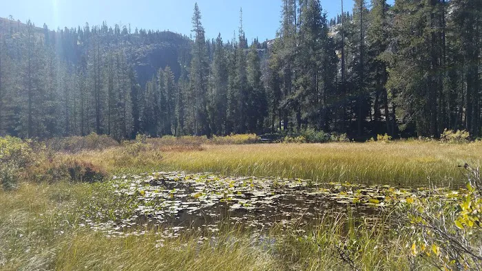 Gold Lake 4x4 Campground Picture 9
