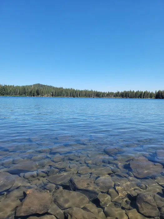 Gold Lake Campground Picture 2