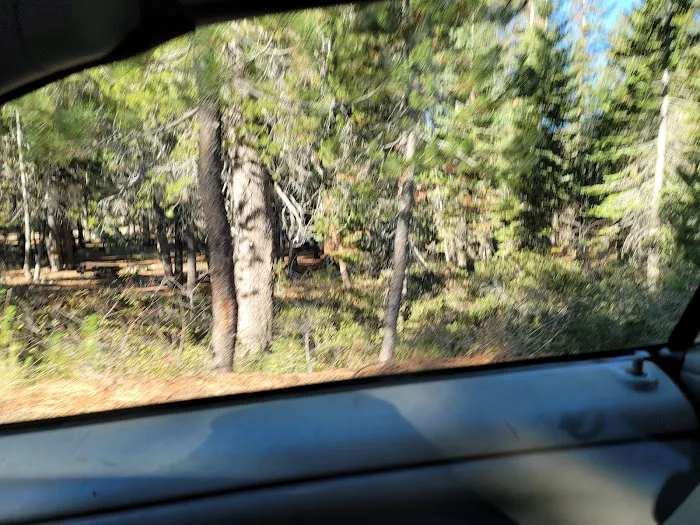 Gold Lake Campground Picture 4