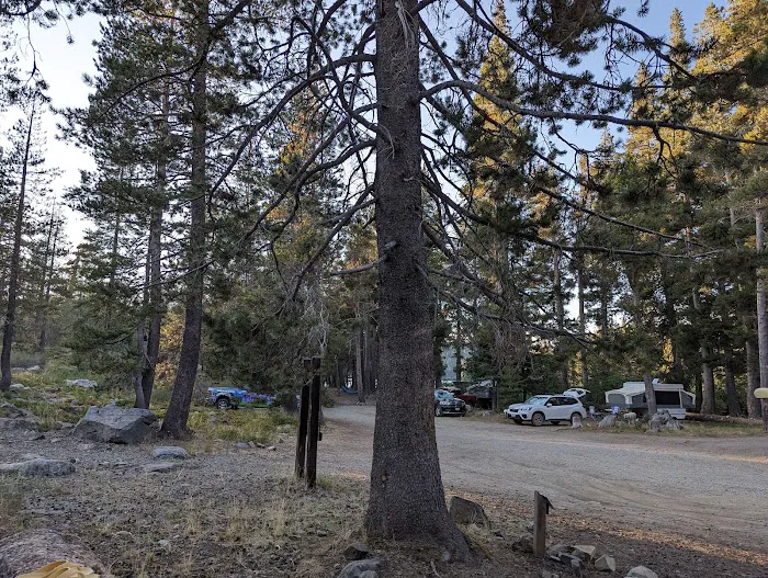 Gold Lake Campground Picture 3