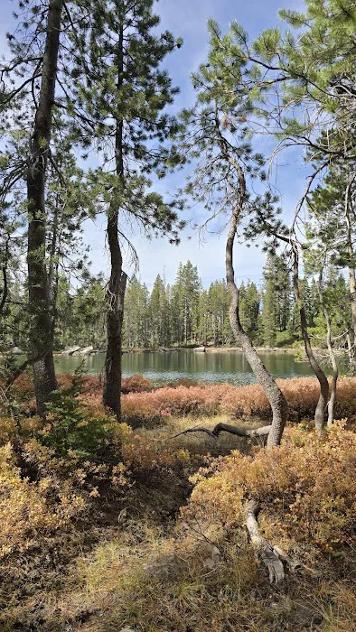 Gold Lake Campground Picture 9