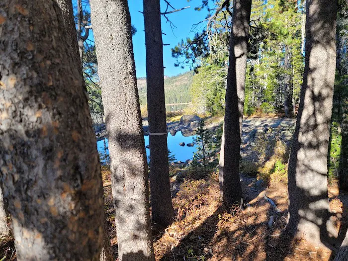 Gold Lake Campground Picture 7