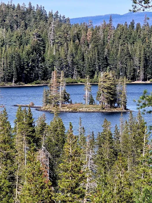 Gold Lake Campground Picture 10