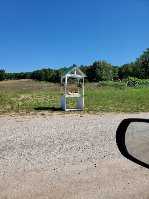 Frankfort Crystal Lake RV Resort Picture 10