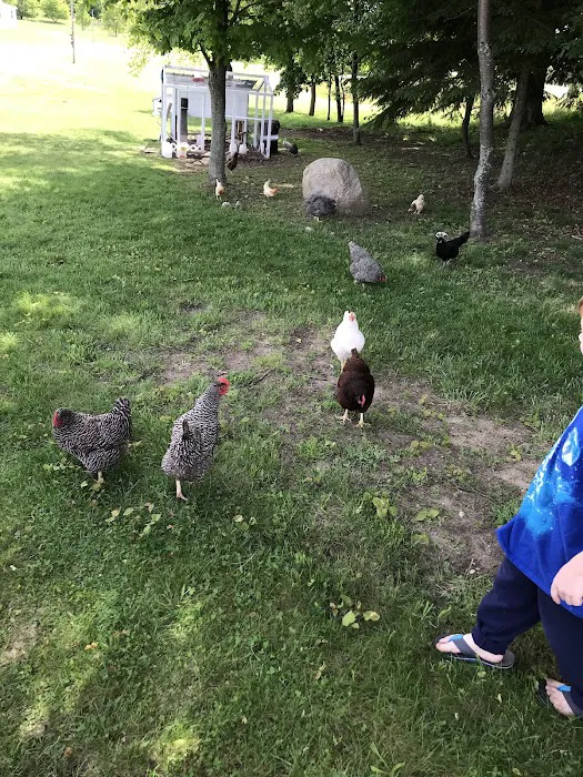 Frankfort Crystal Lake RV Resort Picture 8