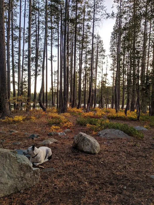 Goose Lake Campground Picture 1
