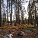 Goose Lake Campground