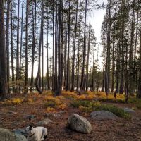 Goose Lake Campground ico