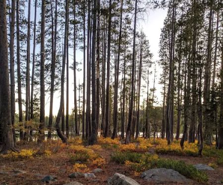 Goose Lake Campground