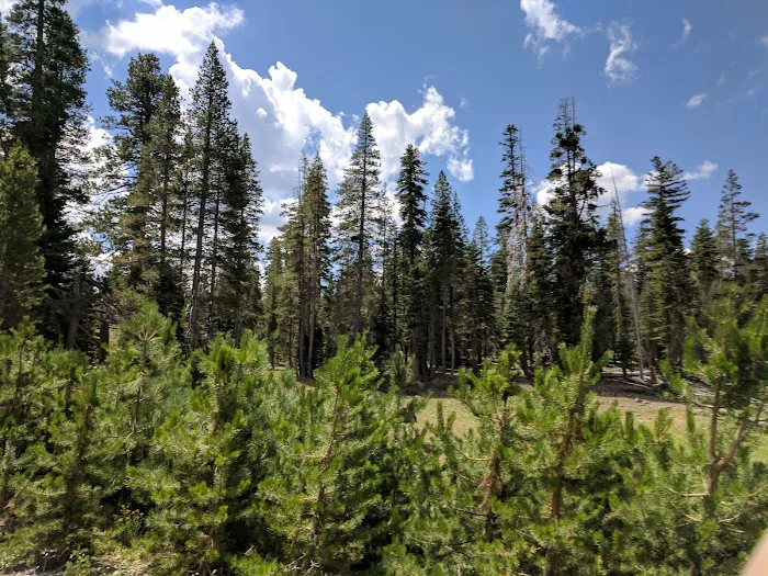 Goose Lake Campground Picture 4
