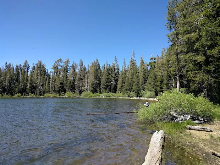 Snag Lake Campground Picture 3