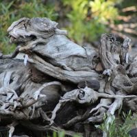 Snag Lake Campground ico