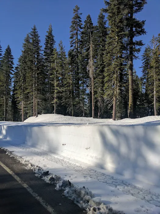 Snag Lake Campground Picture 4