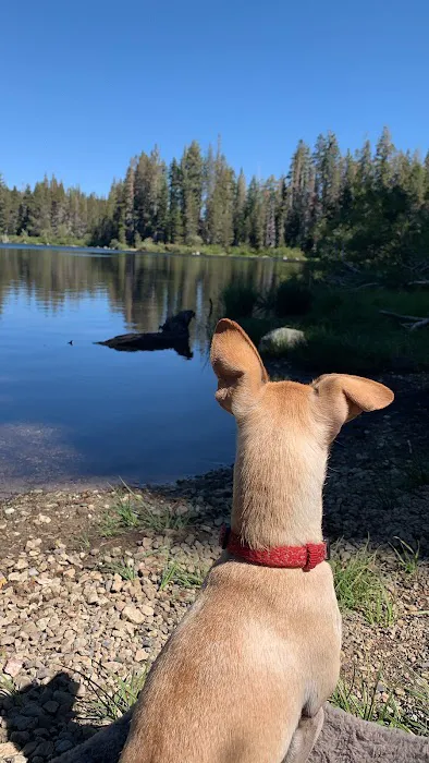 Snag Lake Campground Picture 5