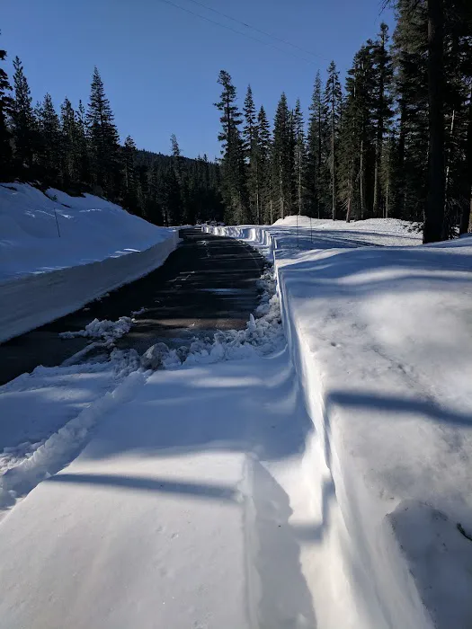 Snag Lake Campground Picture 10