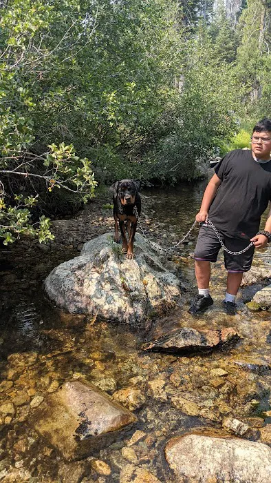 Diablo Campground Picture 7