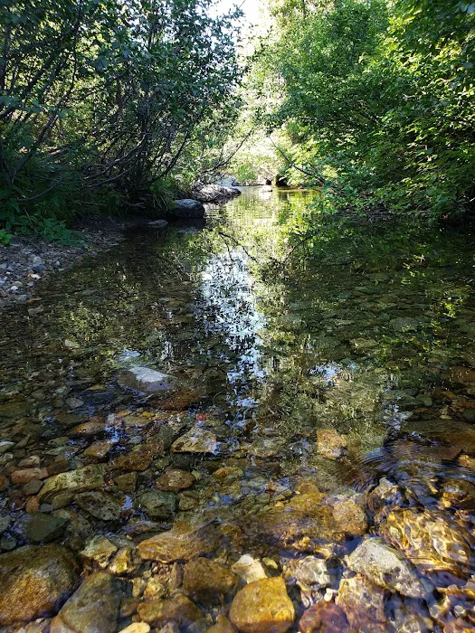 Diablo Campground Picture 5