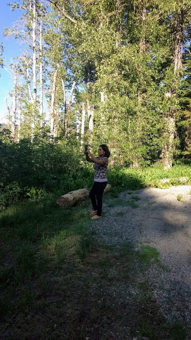Berger Campground Picture 2