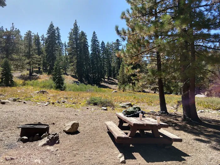 Packsaddle Campground Picture 1