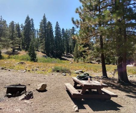 Packsaddle Campground