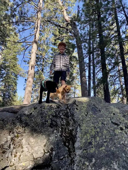 Packsaddle Campground Picture 5