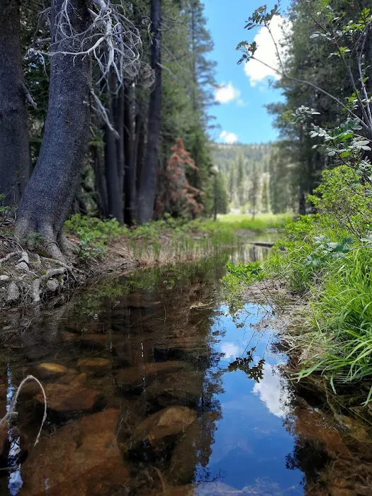 Packsaddle Campground Picture 7