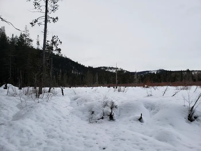 Salmon Creek Campground Picture 2