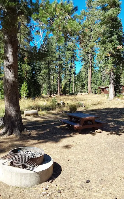 Salmon Creek Campground Picture 1
