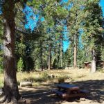 Salmon Creek Campground