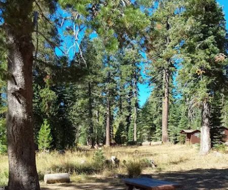 Salmon Creek Campground