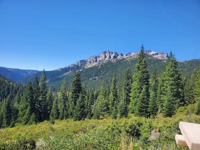Salmon Creek Campground Picture 3