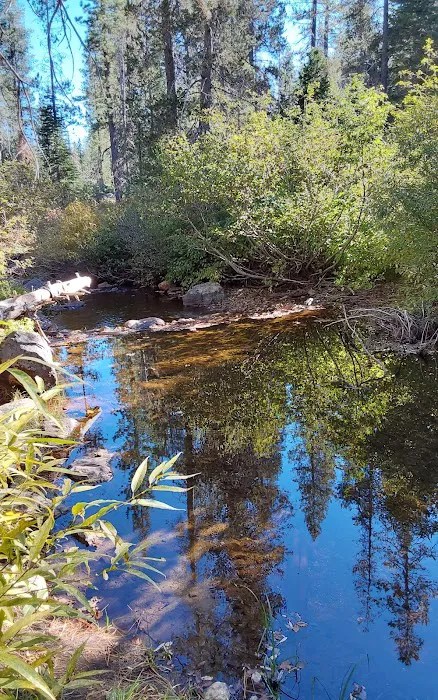 Salmon Creek Campground Picture 4