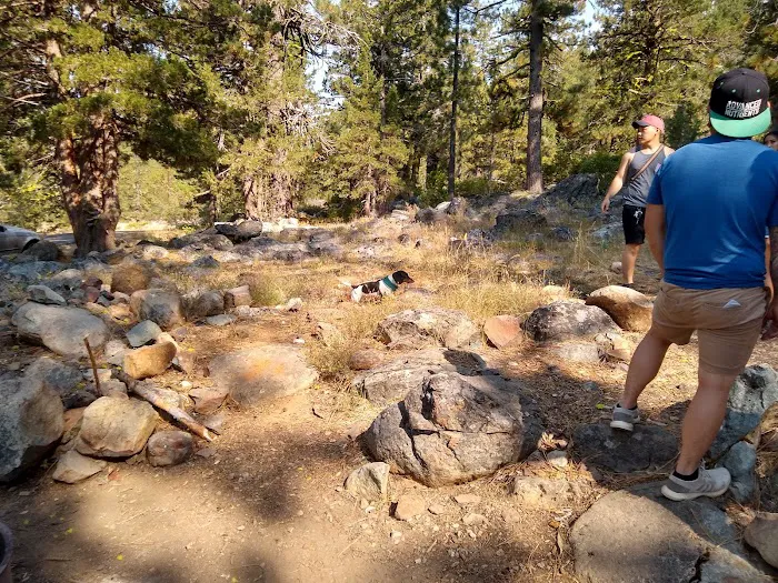 Salmon Creek Campground Picture 7