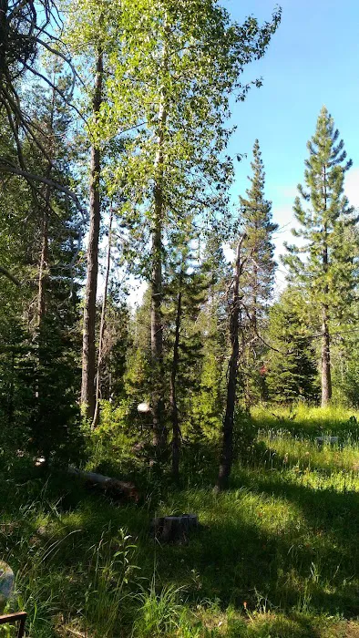 Salmon Creek Campground Picture 9