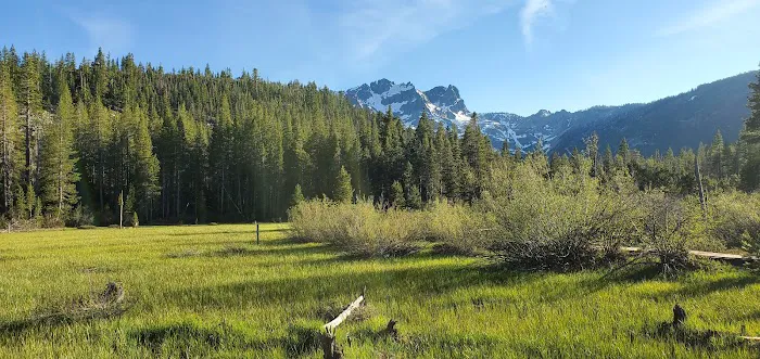 Sardine Campground Picture 3