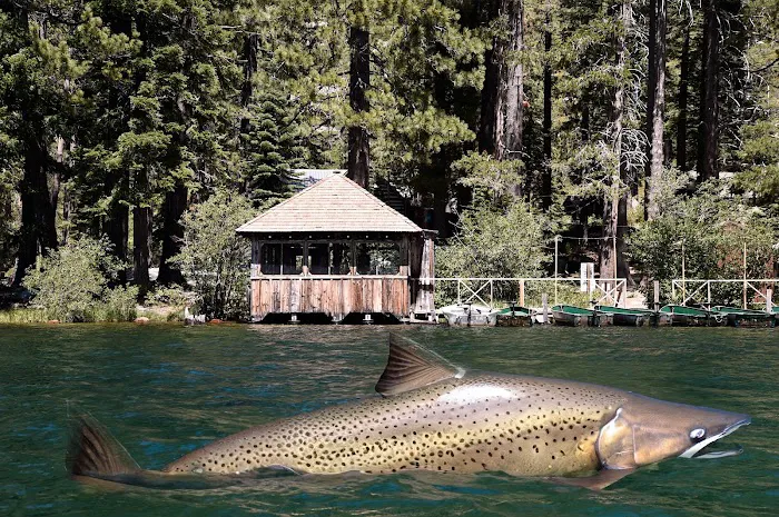 Sardine Campground Picture 9