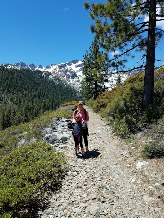 Sardine Campground Picture 4