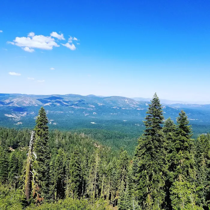 Sierra Campground Picture 2
