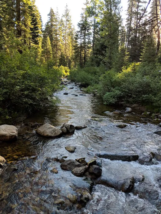 Sierra Campground Picture 3