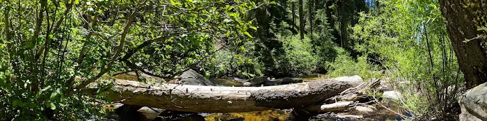 Sierra Campground Picture 4