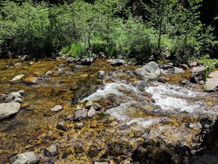 Sierra Campground Picture 5