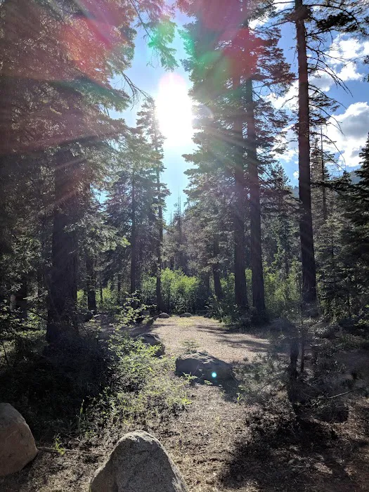 Sierra Campground Picture 8