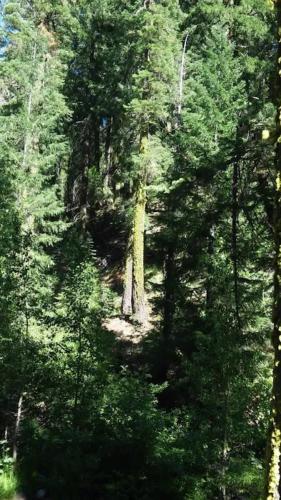 Sierra Campground Picture 7