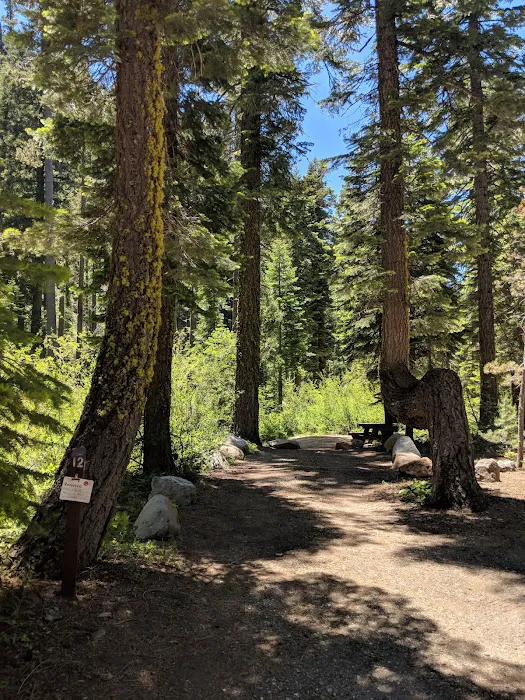 Sierra Campground Picture 10