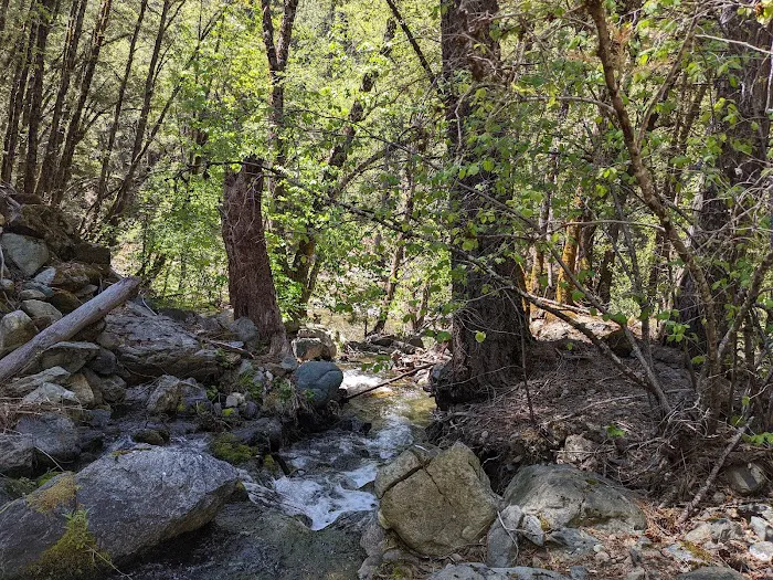 Loganville Campground Picture 4