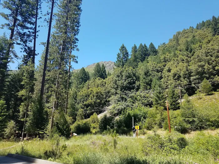 Loganville Campground Picture 6