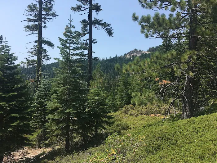 Chapman Creek Campground Picture 5