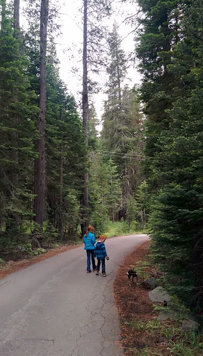 Chapman Creek Campground Picture 2